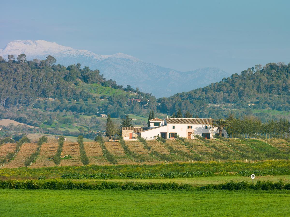 Agroturisme Gossalba Sant Joan Exterior foto